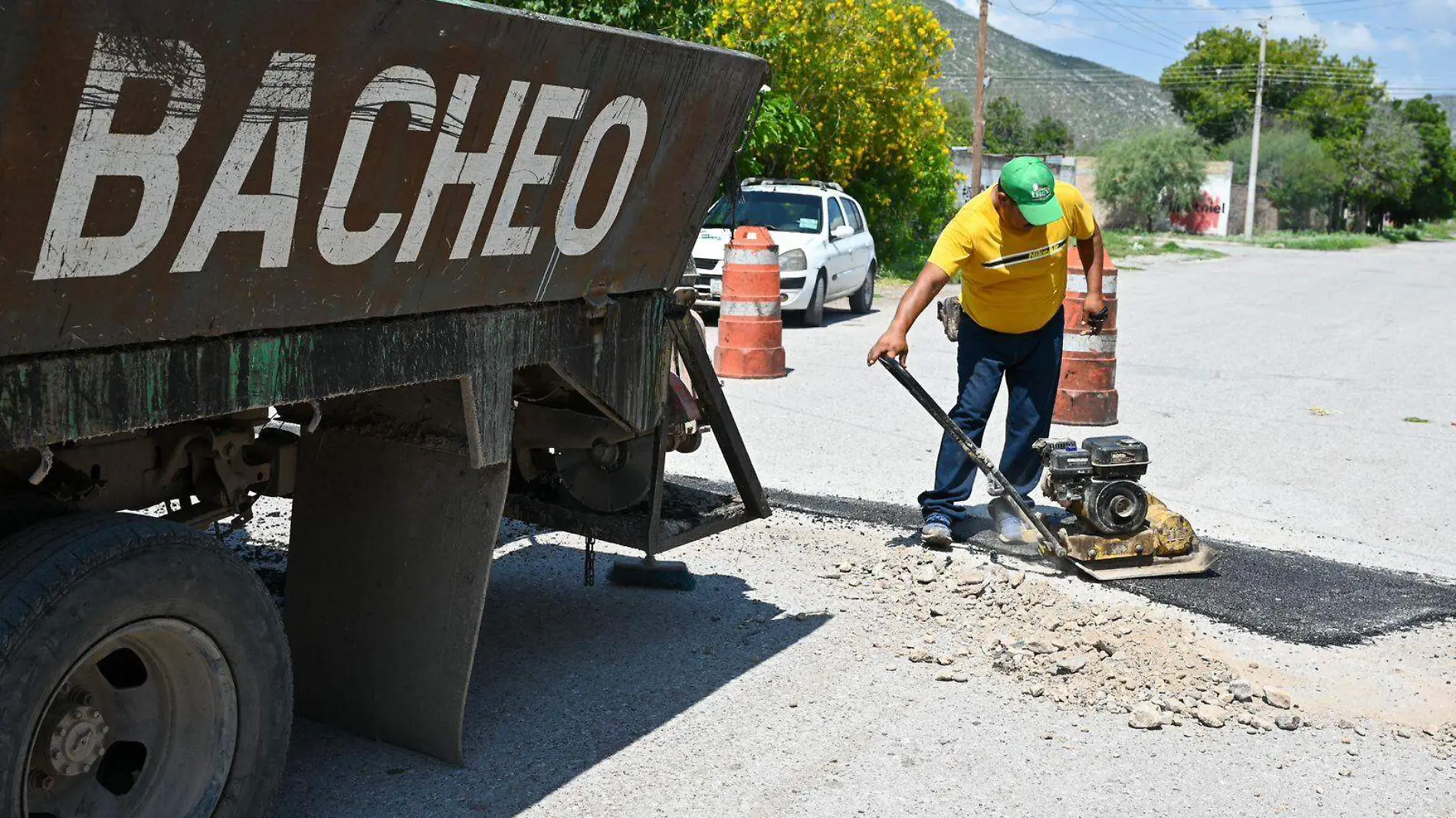 Bacheo Lerdo